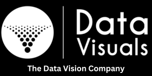 Data Visuals LLC